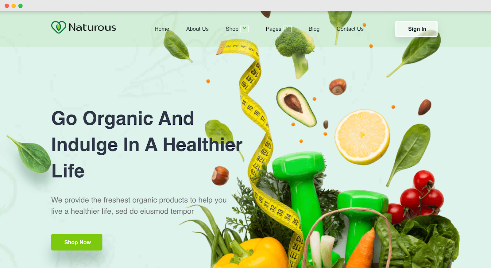 eCommerce website template